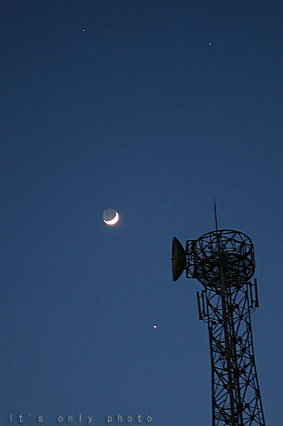 e0008800_11517.jpg