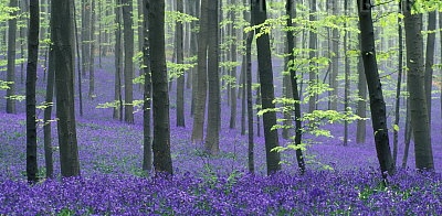 e0011102_22501753.jpg