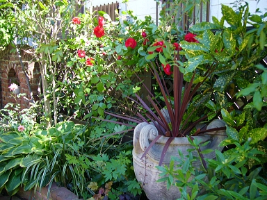 f0065604_12258.jpg