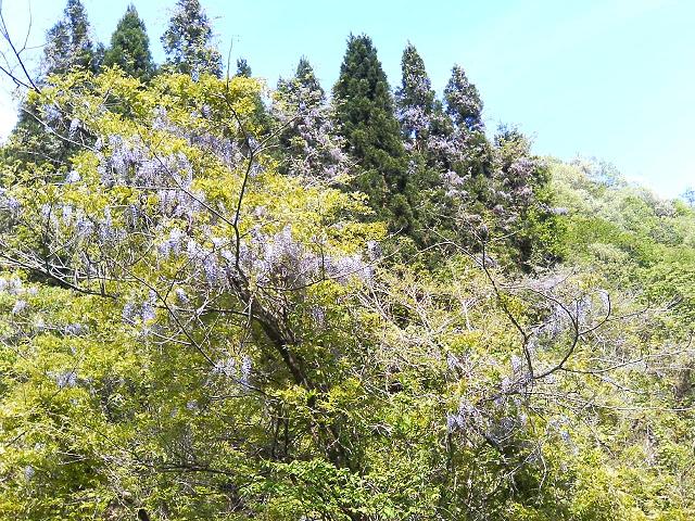 a0072808_18184382.jpg