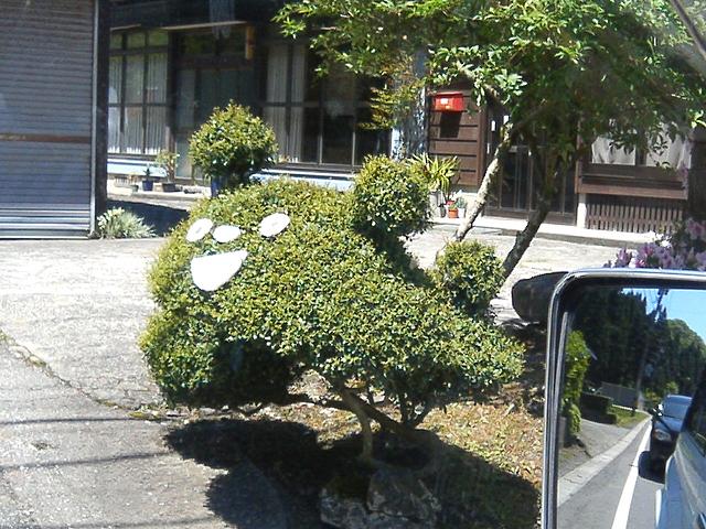 a0072808_1855262.jpg