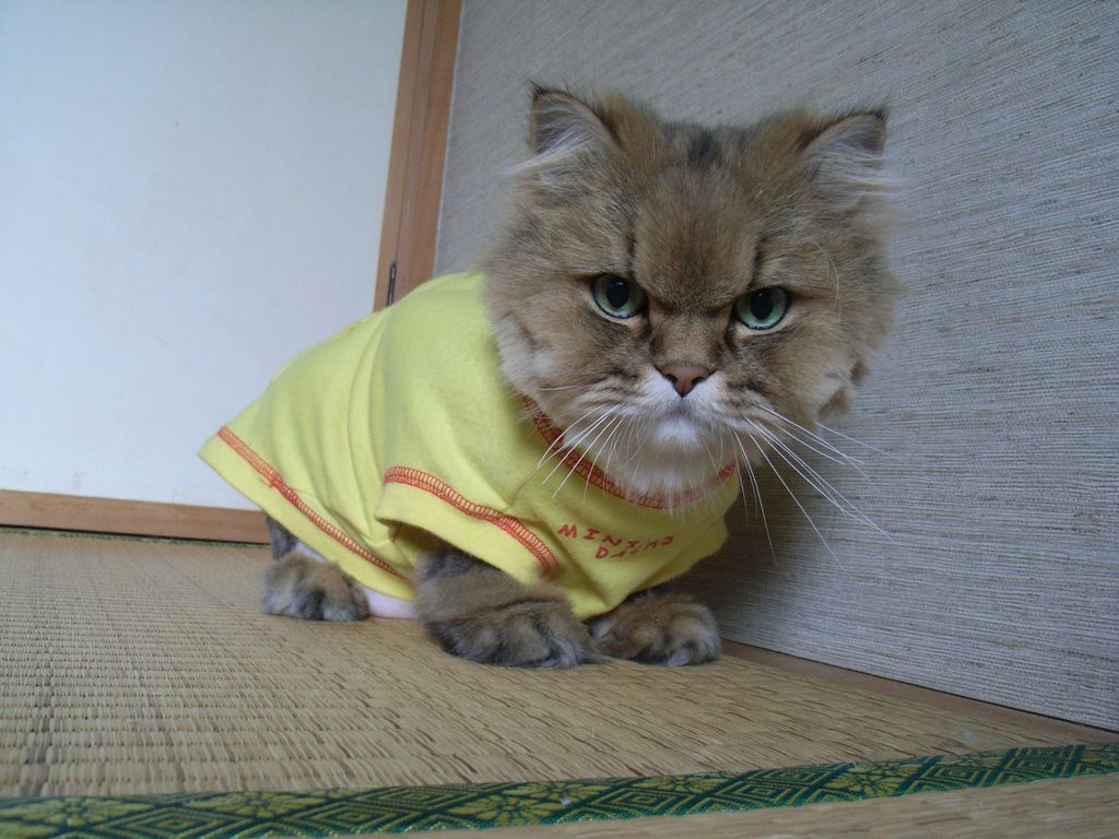 武蔵丸の衣替え_c0025115_0133190.jpg