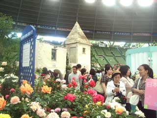 c0035525_222415.jpg