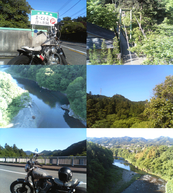 c0006028_9484396.gif