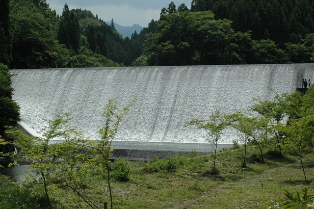 f0000330_21414957.jpg