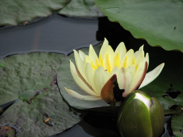 f0099535_18492067.jpg