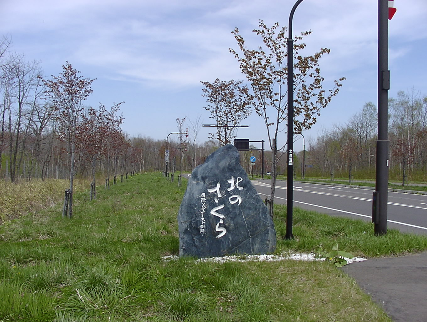 北のさくら 5月21日_f0113639_15412425.jpg