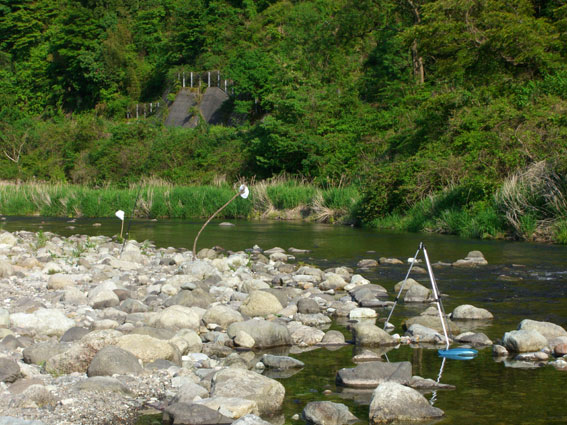 a0056140_16415660.jpg
