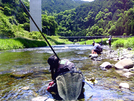 いよいよ“鮎釣り解禁”を迎えました♪_a0056140_17503586.jpg