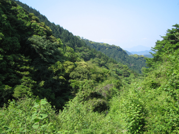 e0110940_10331017.jpg