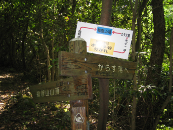 e0110940_9265665.jpg