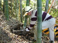 タイ飯会のたけのこ掘り-1_d0081943_1331412.jpg