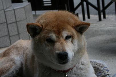 続く晴天_c0049950_19474597.jpg