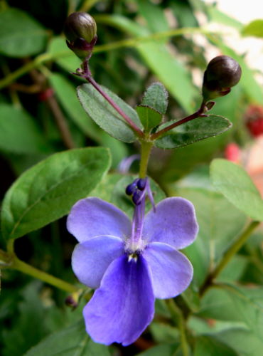 d0091754_03524.jpg