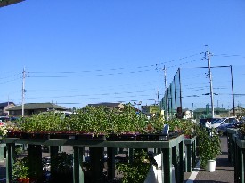週末の過ごし方_f0015261_1045567.jpg