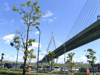 c0095679_851172.gif