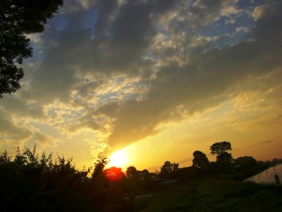 c0078480_2315971.jpg