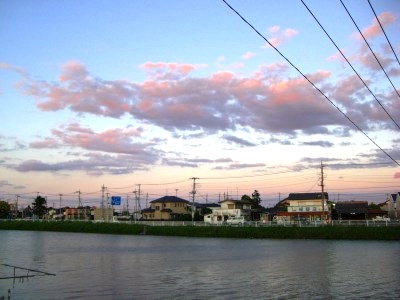 c0078480_2333411.jpg