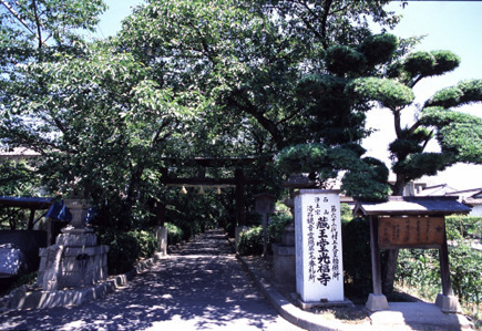a0045381_21314613.jpg