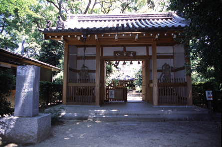a0045381_21453475.jpg