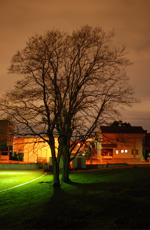f0126483_21154561.jpg