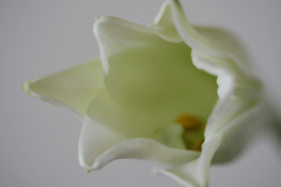 d0100192_21102196.gif