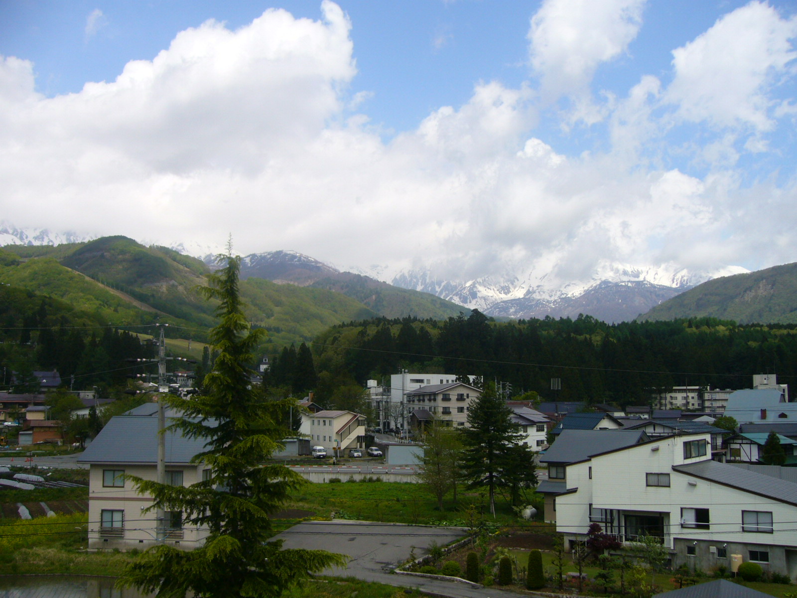 白馬日記~2日目(山歩き)~_d0091994_20413693.jpg