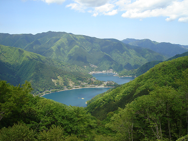 d0077699_8271189.jpg