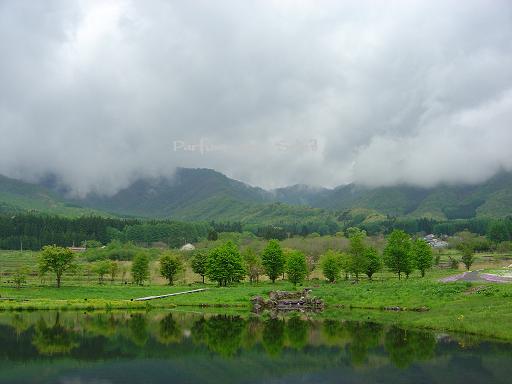 d0087503_2345451.jpg