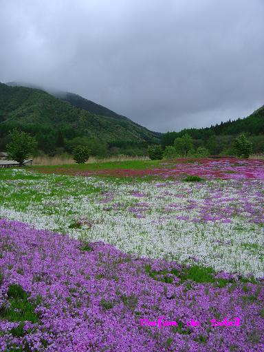 こんな日もあるよおぉ～っ_d0087503_2347254.jpg