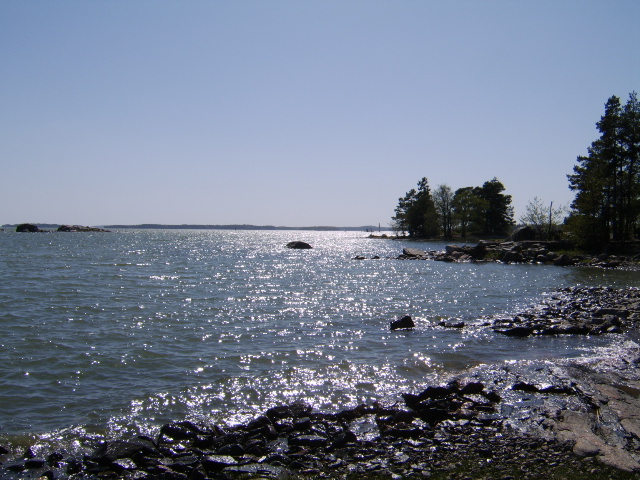 d0115609_37576.jpg