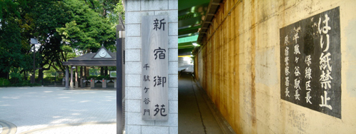 d0113613_2033328.jpg