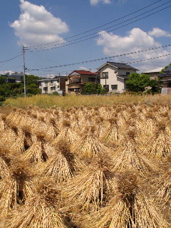 e0112213_7142370.jpg