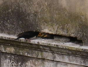 f0133814_05778.jpg