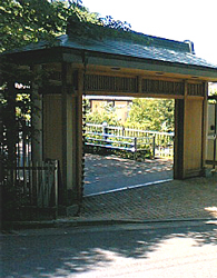 f0038336_8292680.jpg