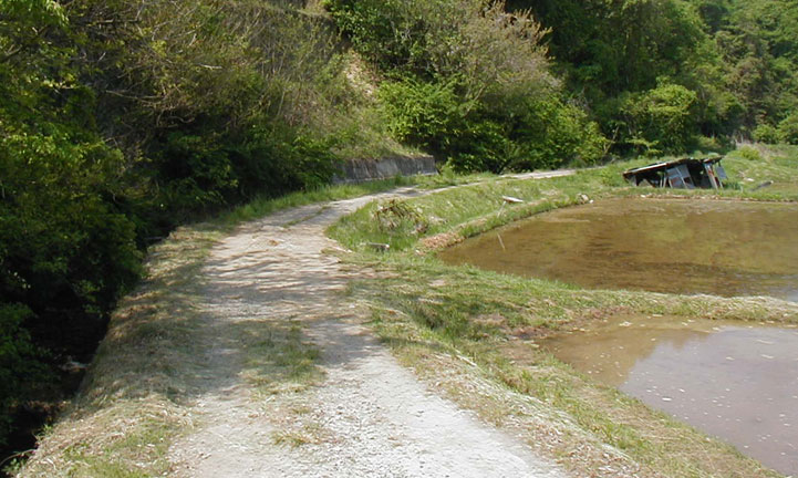 d0103737_1126232.jpg
