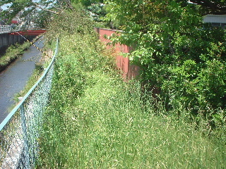 f0031037_2034564.jpg