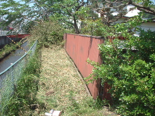 f0031037_2042990.jpg