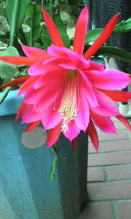 c0085539_23105266.jpg