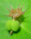 e0110940_15253457.jpg