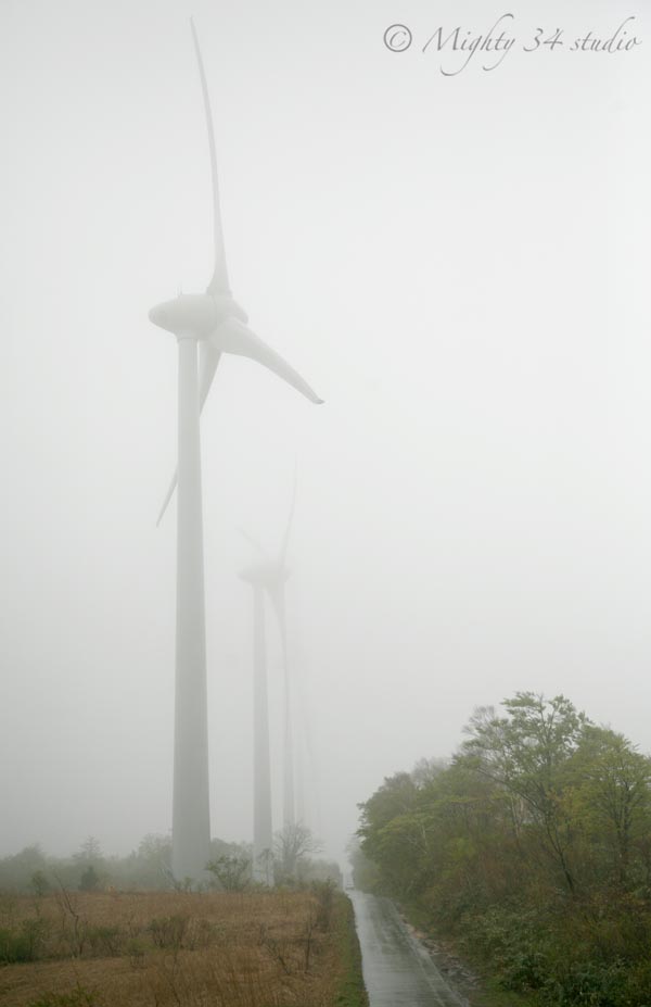 Wind Power Generation_f0006253_5271266.jpg