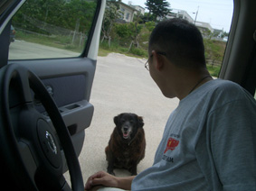 老犬が守ってくれる　2007.5.22_b0002156_234096.jpg