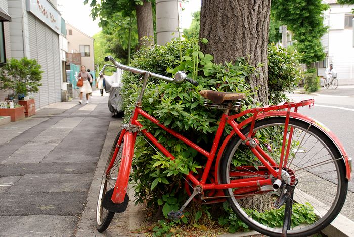 郵便局の自転車_e0053660_624732.jpg