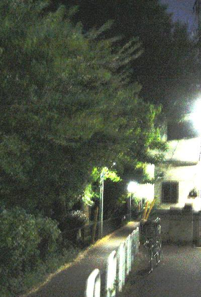 f0059673_2117495.jpg
