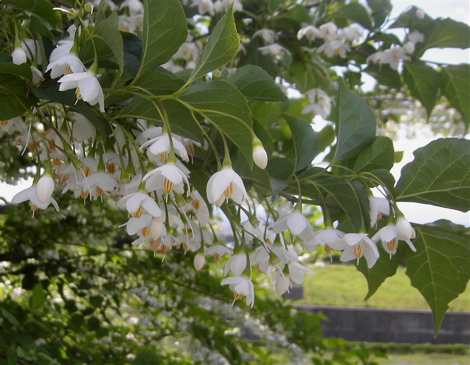 a0061977_1528465.jpg