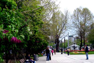 f0083977_23155482.jpg