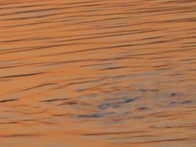 c0078480_22152722.jpg