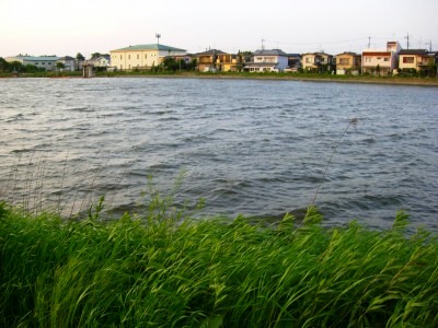 c0078480_22451749.jpg