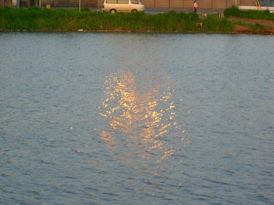 c0078480_2250899.jpg