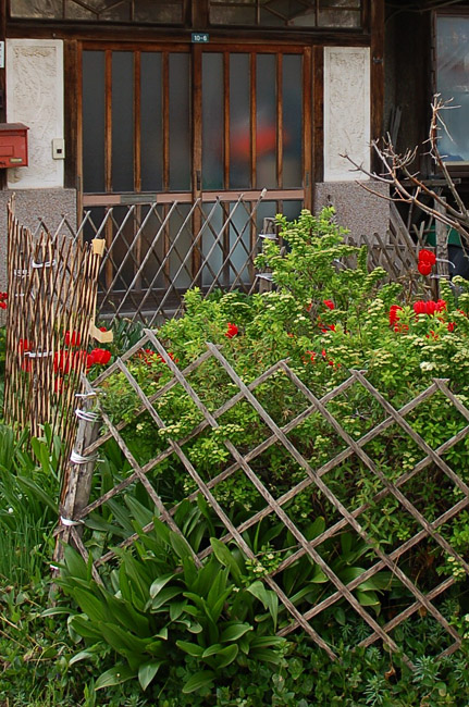 a0086387_0304956.jpg
